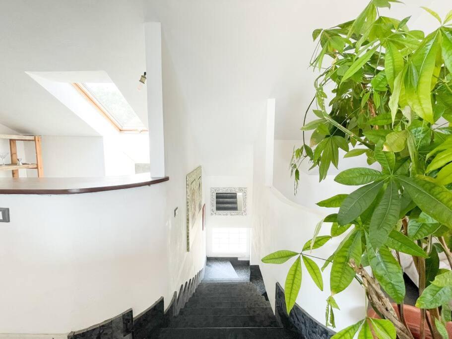 Elegante Appartamento 100 Mq Parcheggio - Wi Fi Savona Exterior foto